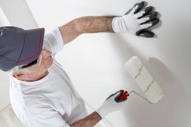 Best Water Damage & Mold Remediation  in Decatur, MI