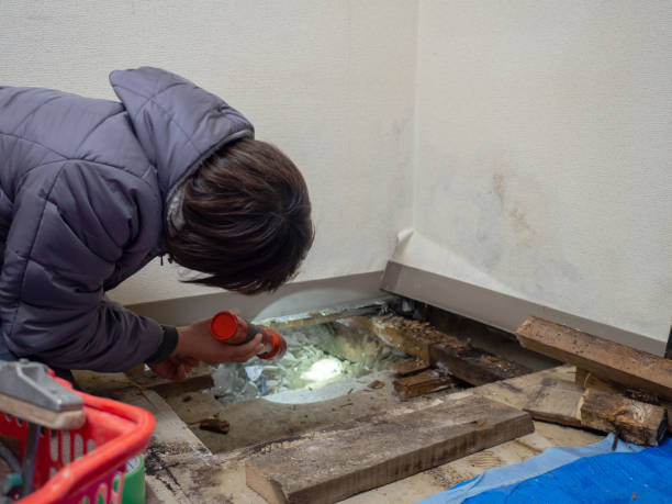 Best Post-Remediation Verification Testing  in Decatur, MI