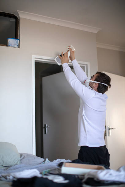 Mold Odor Removal Services in Decatur, MI