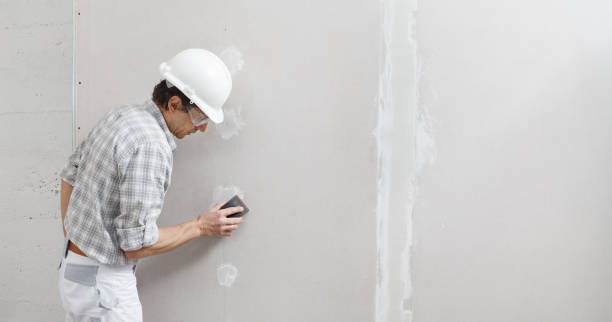 Best HVAC Mold Inspection and Cleaning  in Decatur, MI