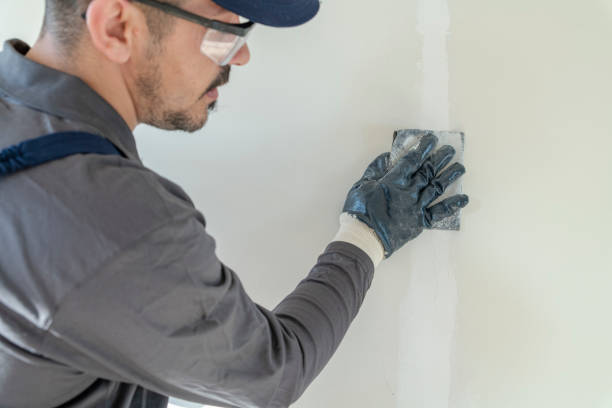 Environmental Consulting for Mold Prevention in Decatur, MI