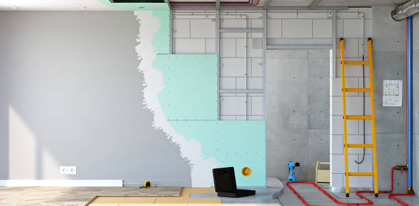 Best Environmental Consulting for Mold Prevention  in Decatur, MI