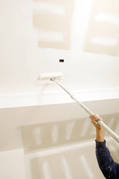 Best Mold Prevention Services  in Decatur, MI