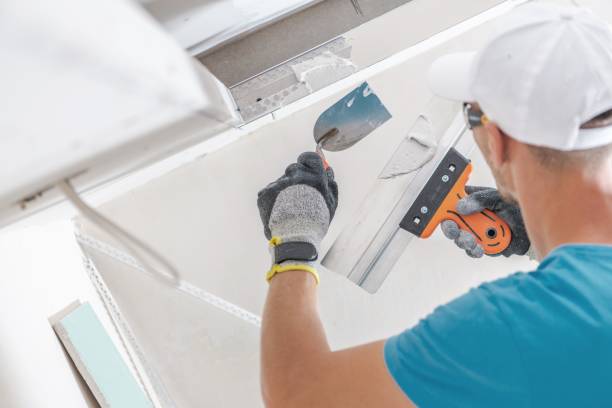 Best Mold Remediation for Healthcare Facilities  in Decatur, MI